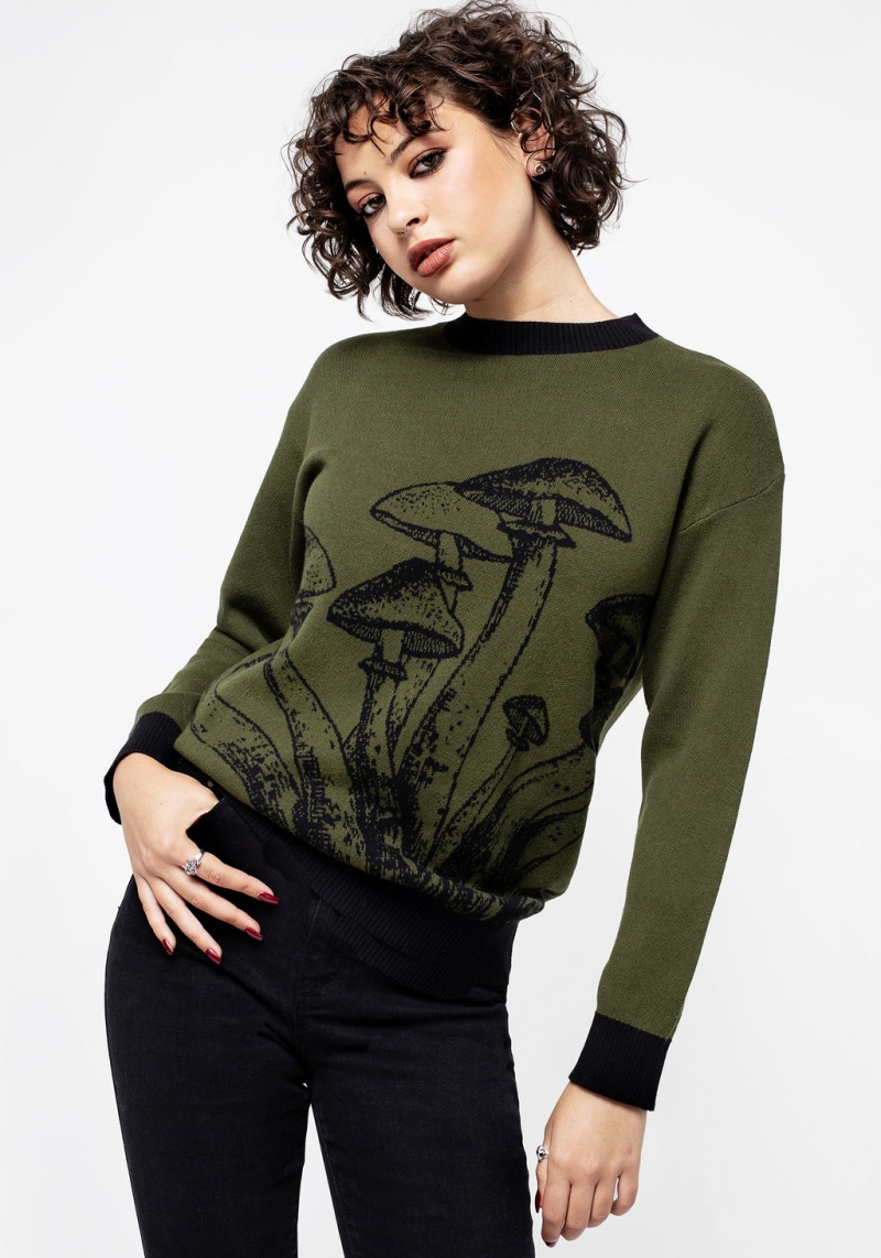 Disturbia Mildew Unisex Mushroom Jumper | PPT-72792303