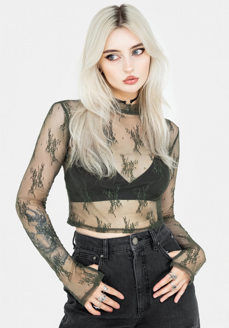 Disturbia Eternal Dentelle Long Sleeve Crop Top - Green | KRM-56027160