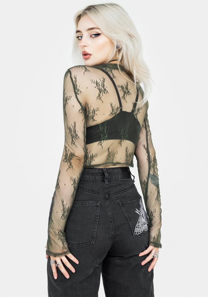 Disturbia Eternal Dentelle Long Sleeve Crop Top - Green | KRM-56027160