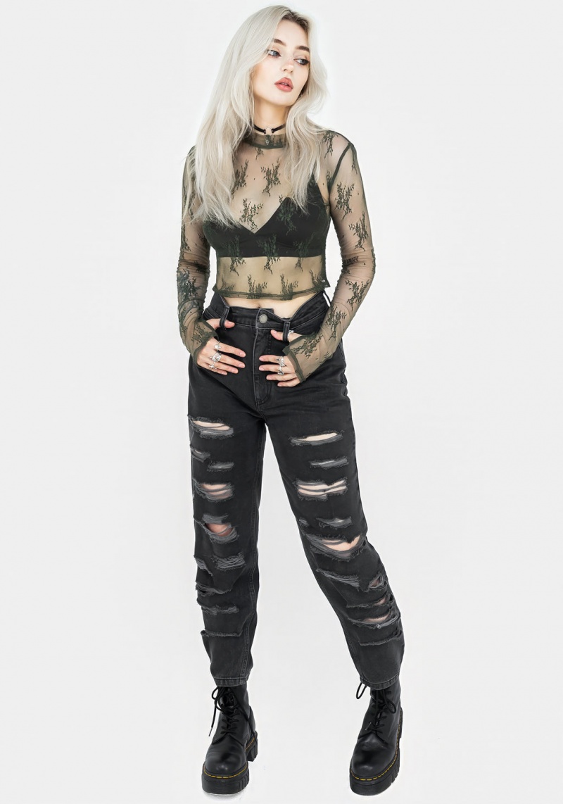 Disturbia Eternal Dentelle Long Sleeve Crop Top - Green | KRM-56027160