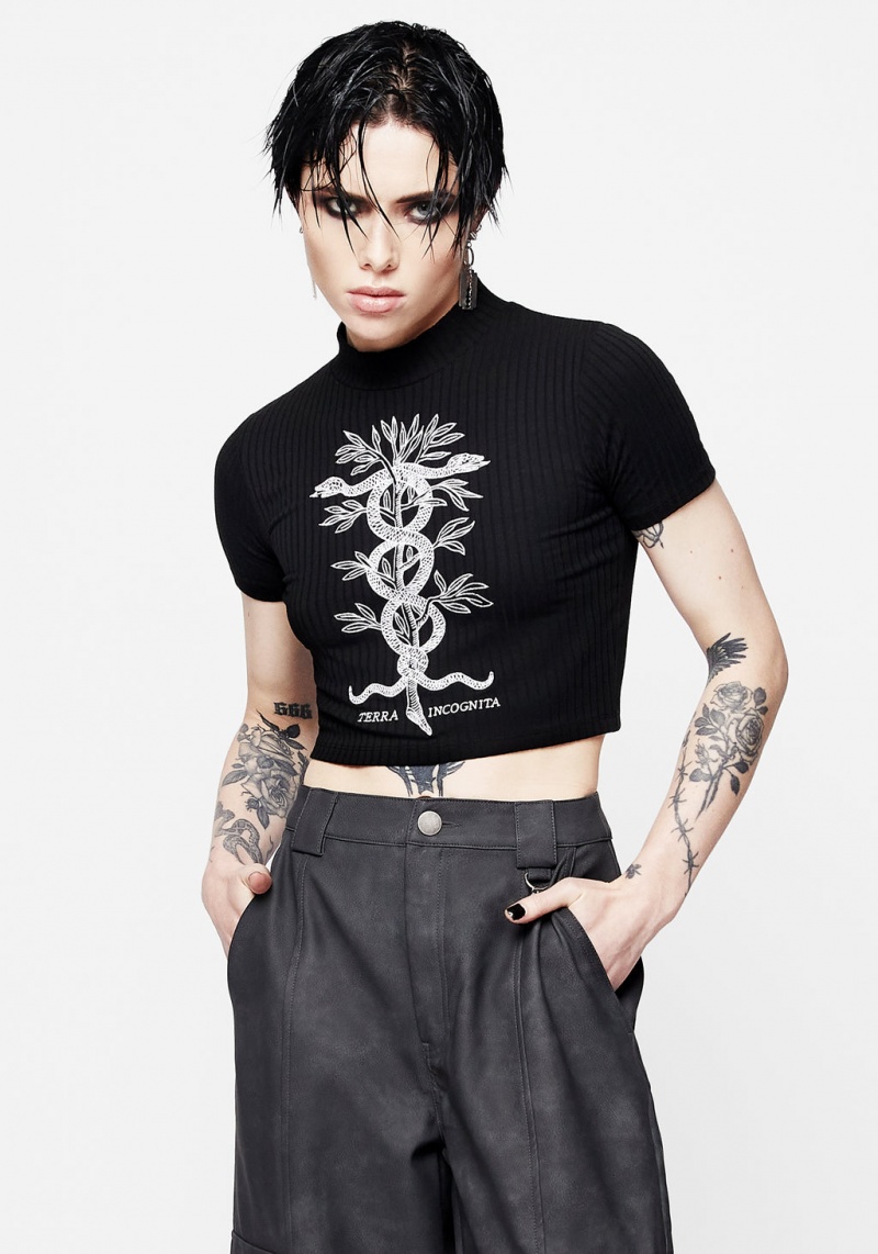 Disturbia Caduceus Embroidered High Neck Crop Top | AKT-81262810