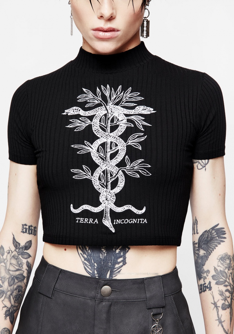 Disturbia Caduceus Embroidered High Neck Crop Top | AKT-81262810