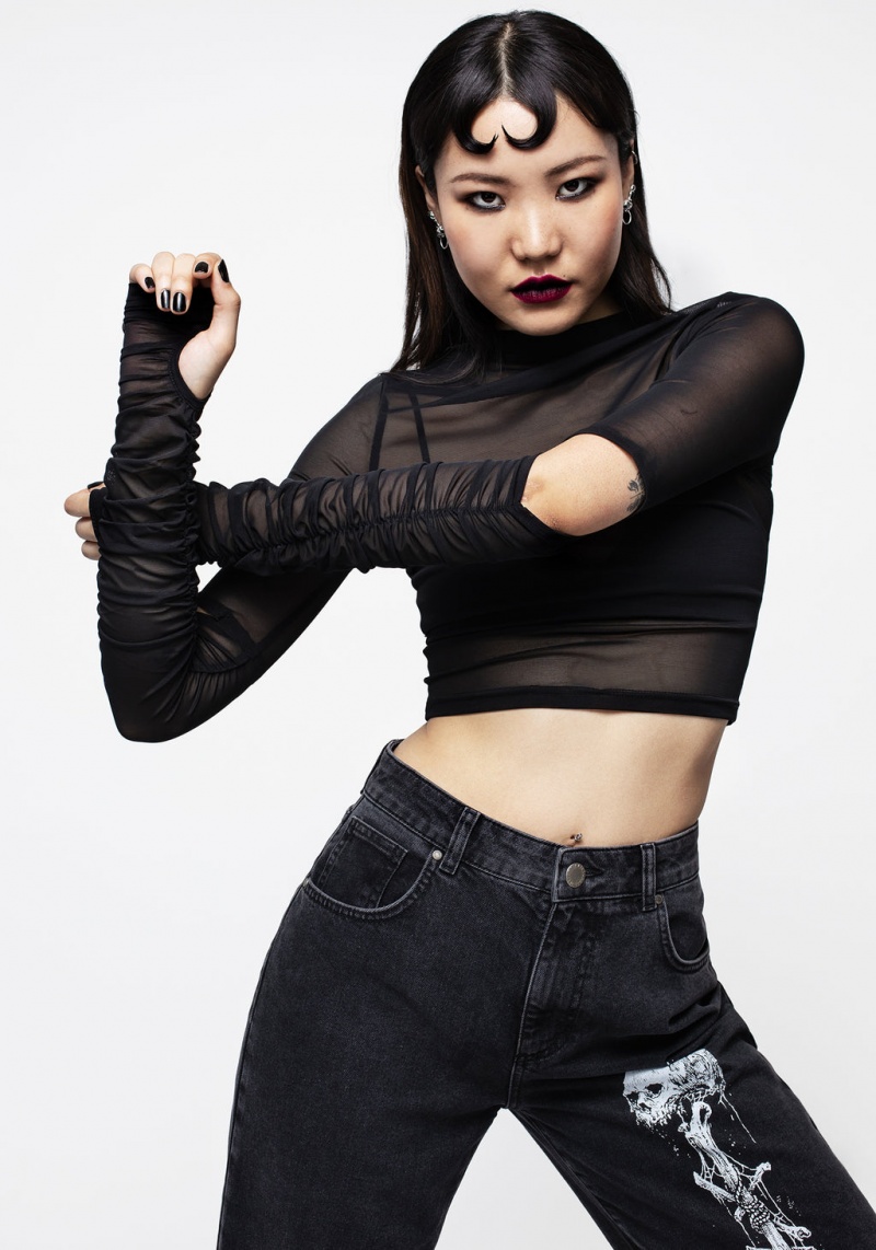 Disturbia Jupiter Mesh Gathered Long Sleeve Crop Top | BVJ-03051155