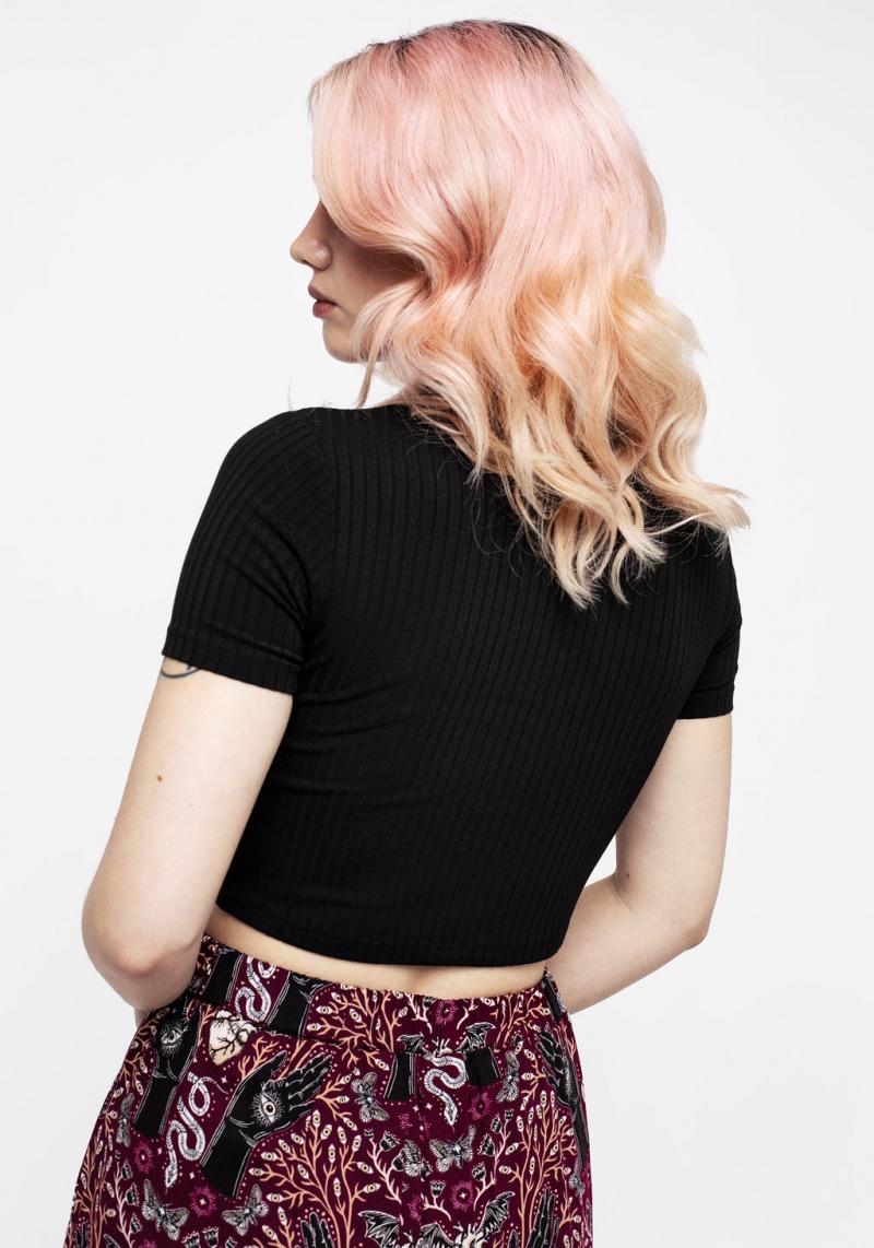 Disturbia Dolore Rib Embroidered Crop Top | GKA-97331418