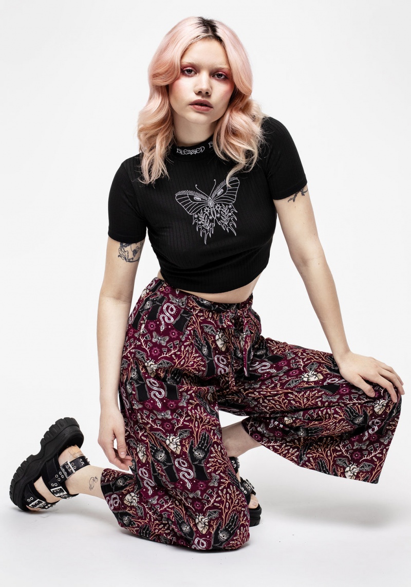 Disturbia Dolore Rib Embroidered Crop Top | GKA-97331418