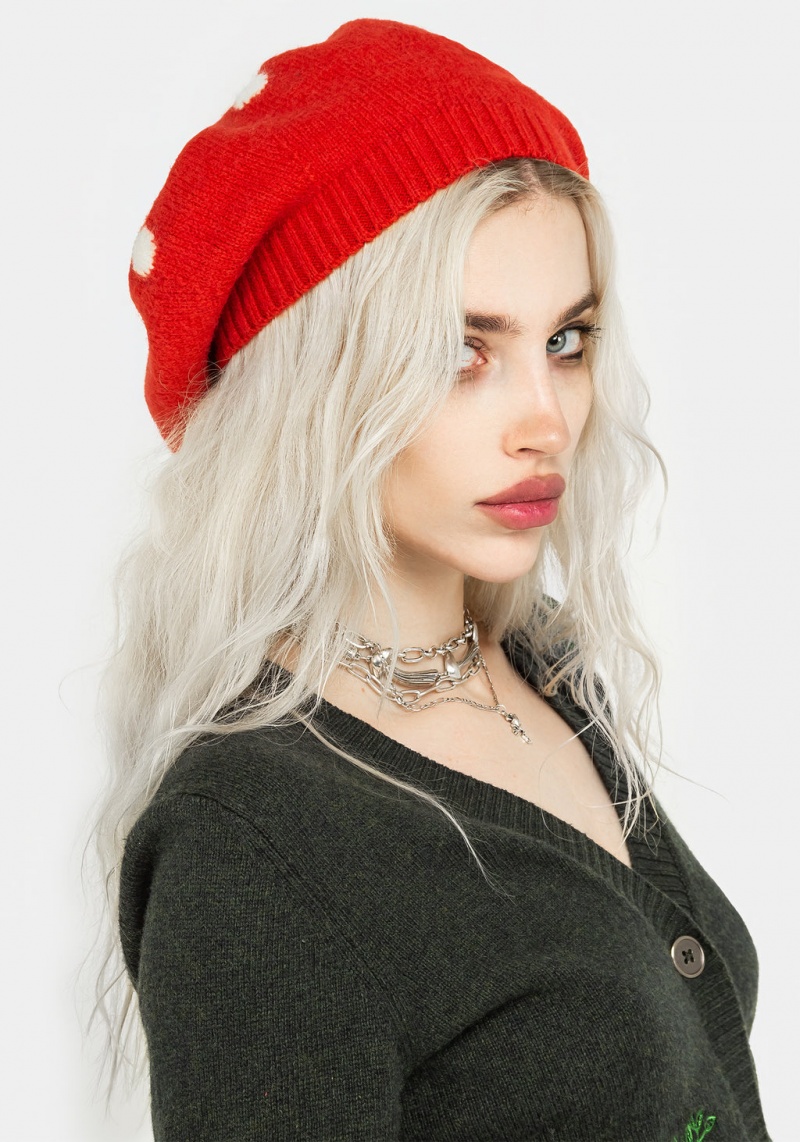 Disturbia Fly Agaric Mushroom Beret | LYL-30720344