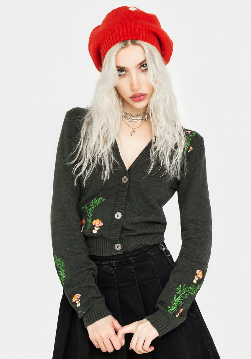 Disturbia Fly Agaric Mushroom Beret | LYL-30720344