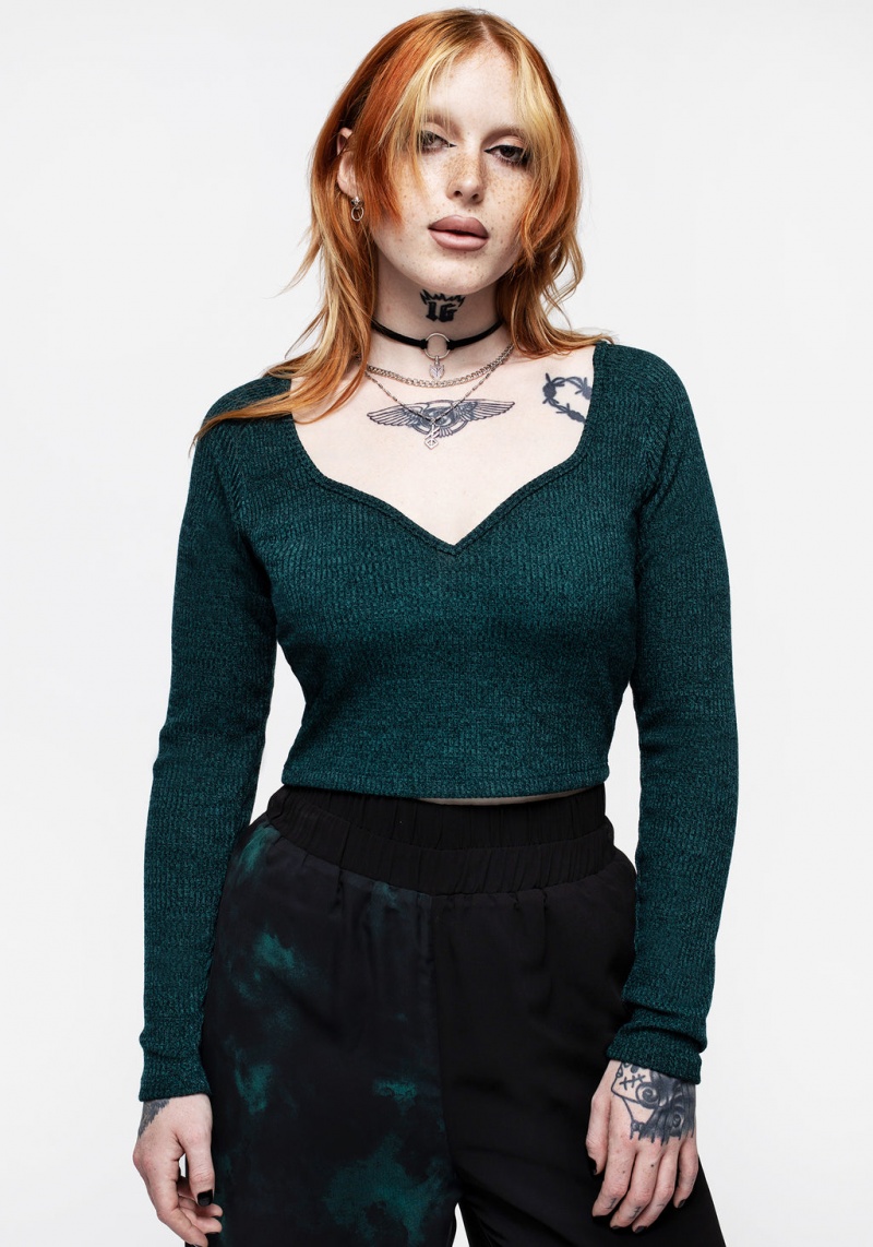 Disturbia Vendetta Long Sleeve Crop Top | AAA-43955020