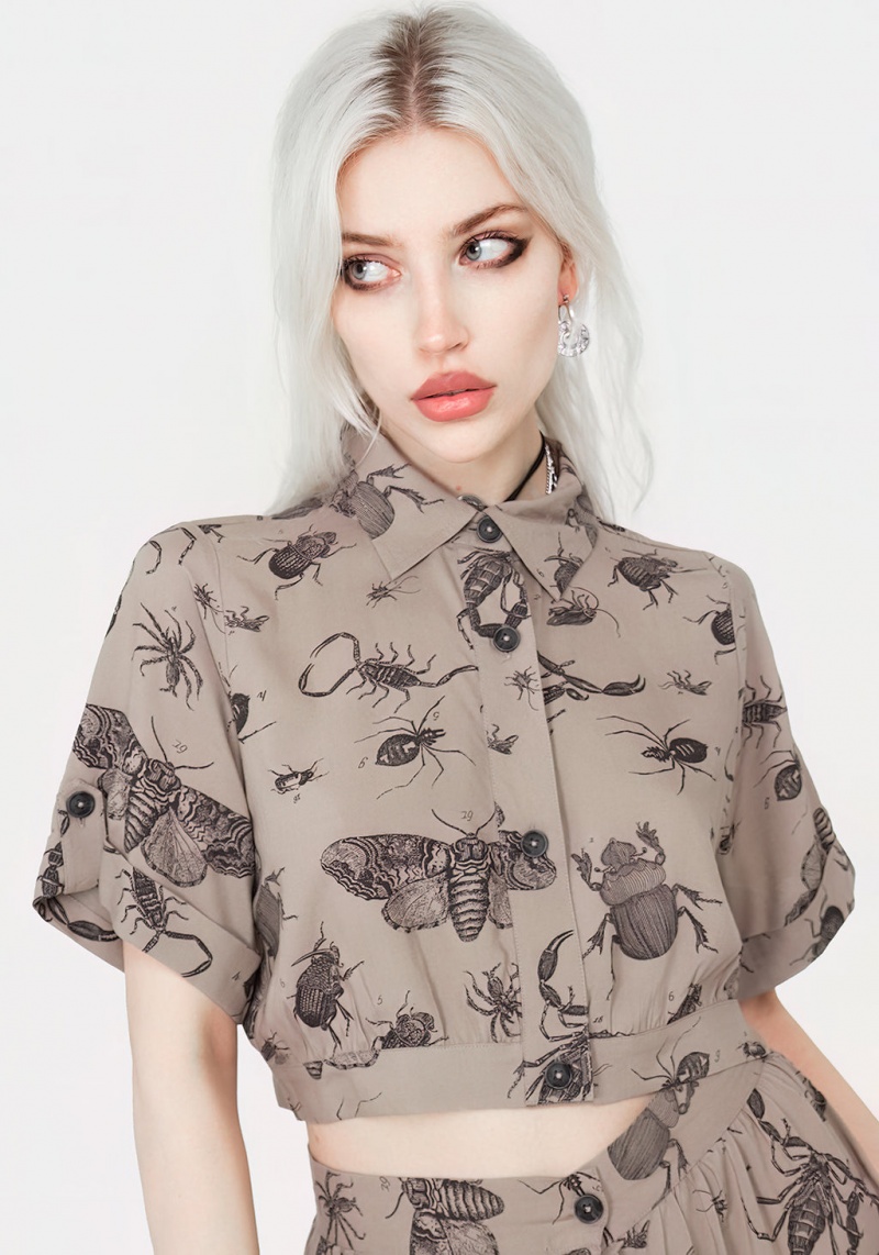 Disturbia Parasite Bugs Print Crop Corta Sleeve Shirt - Taupe | BZE-95066377