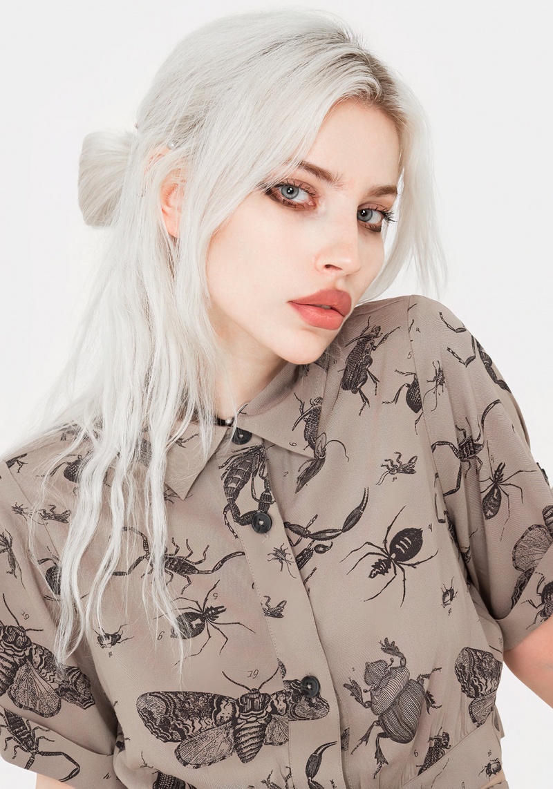 Disturbia Parasite Bugs Print Crop Corta Sleeve Shirt - Taupe | BZE-95066377