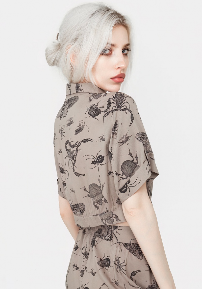 Disturbia Parasite Bugs Print Crop Corta Sleeve Shirt - Taupe | BZE-95066377