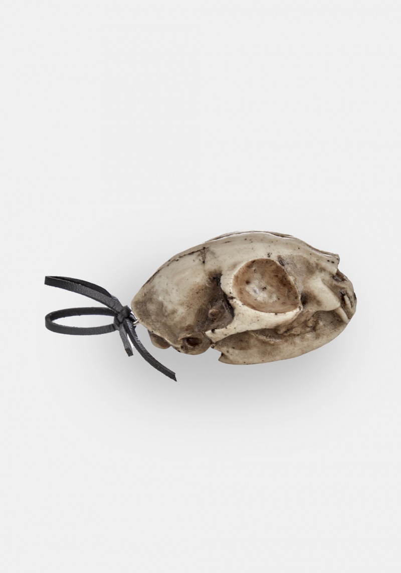 Disturbia Cat Skull Offering | HRC-63502053