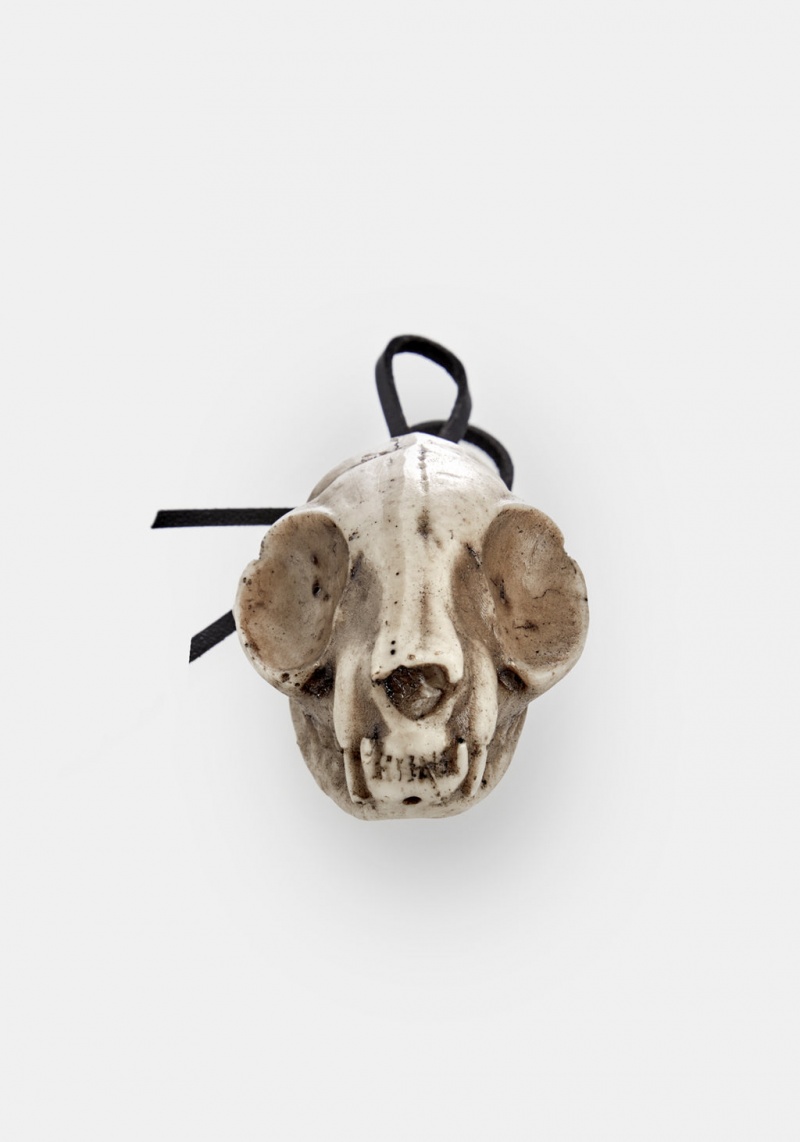 Disturbia Cat Skull Offering | HRC-63502053