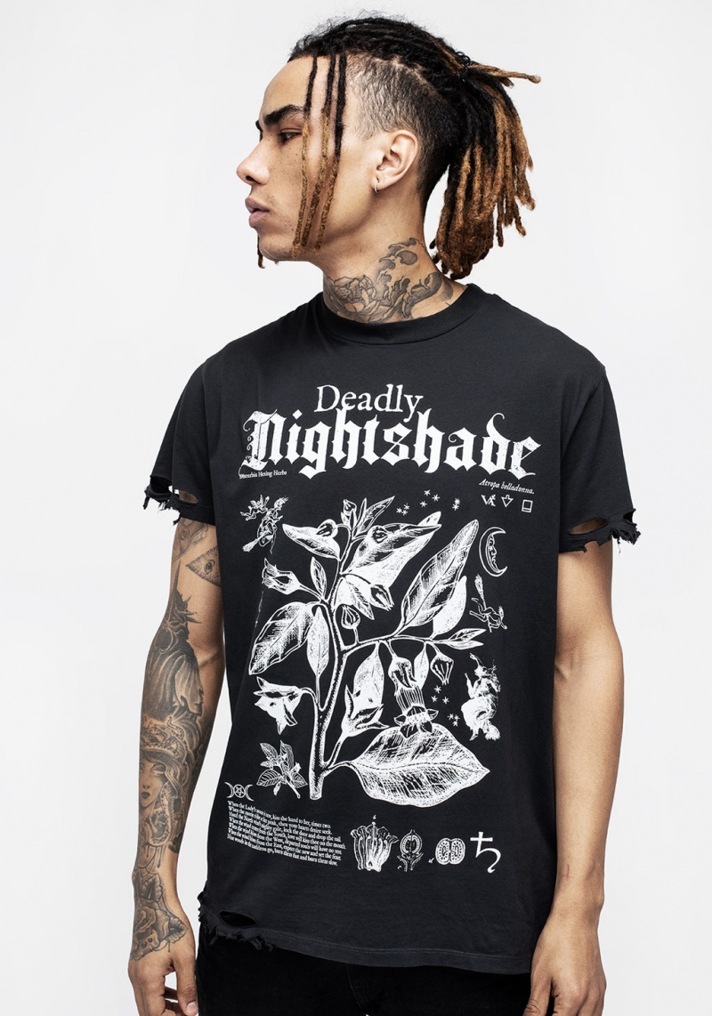 Disturbia Nightshade Distressed T-shirt | ENQ-02296381