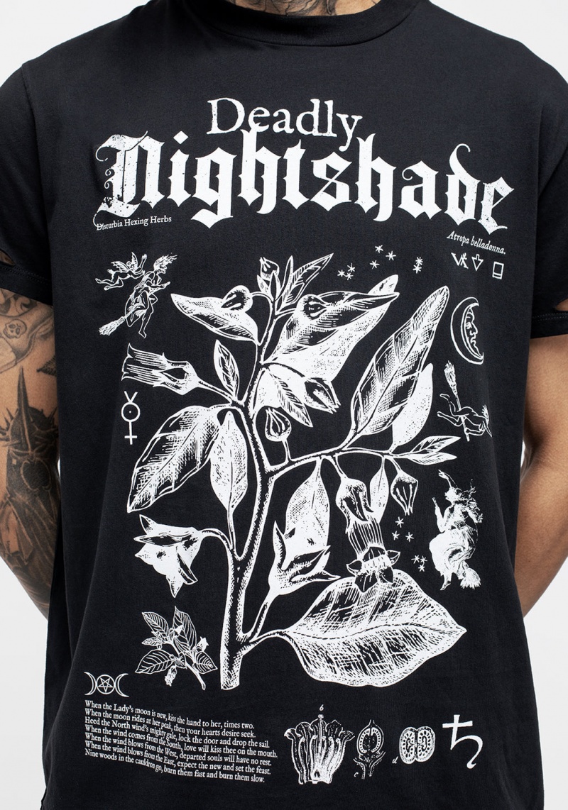 Disturbia Nightshade Distressed T-shirt | ENQ-02296381