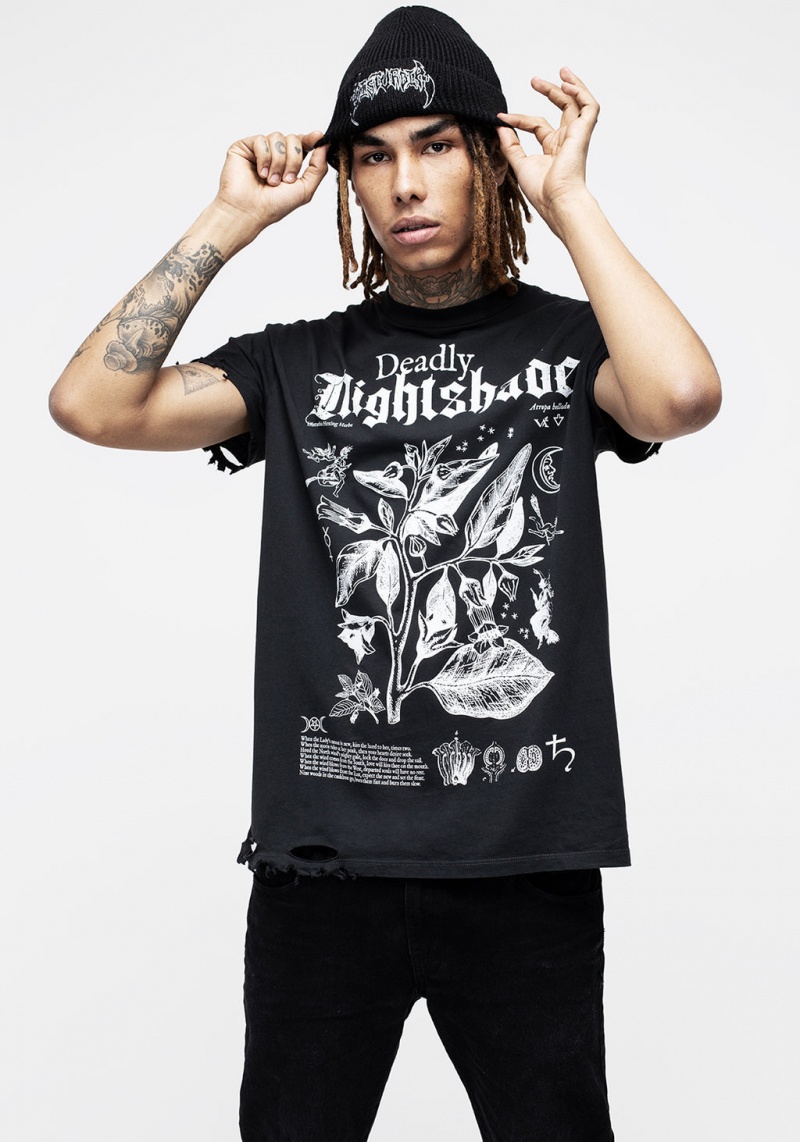 Disturbia Nightshade Distressed T-shirt | ENQ-02296381