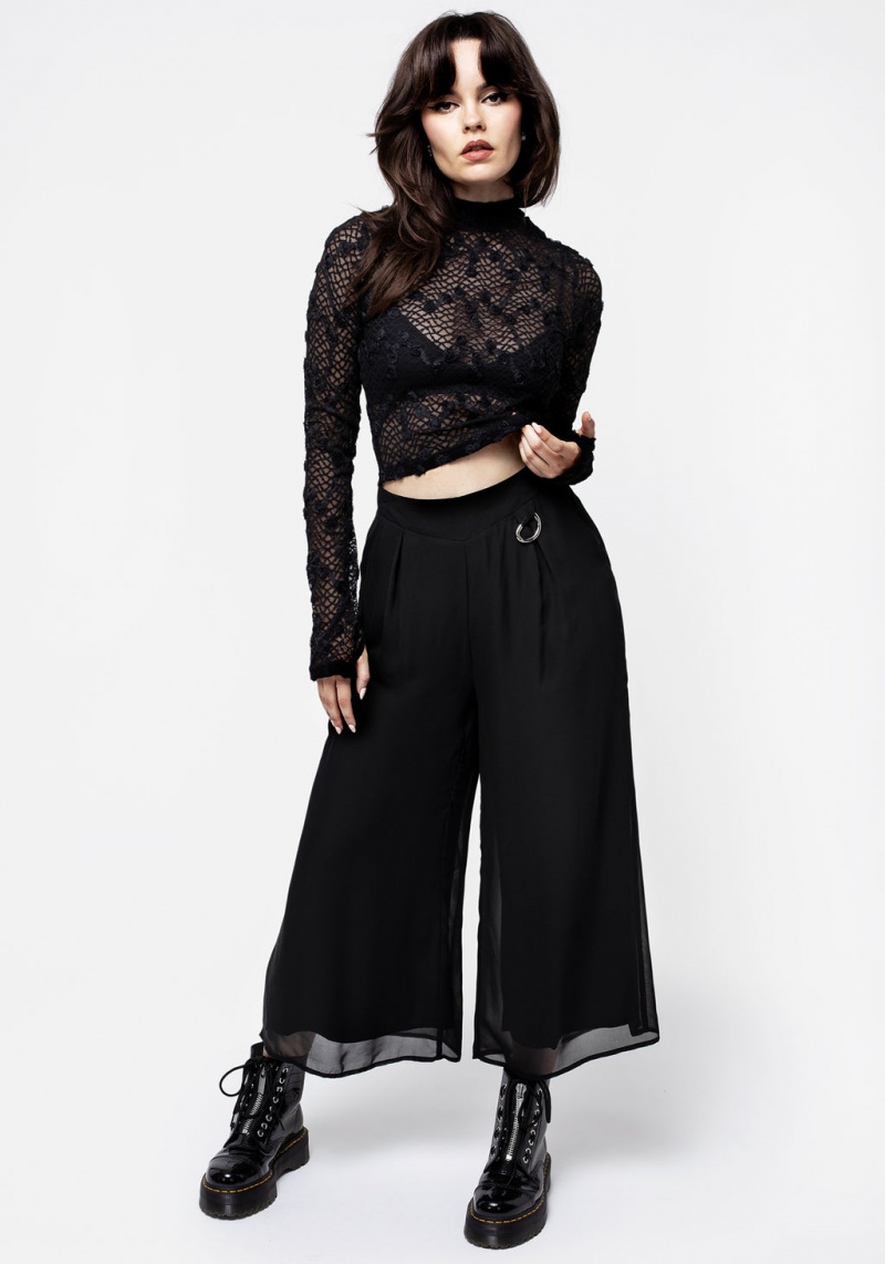 Disturbia Baroque Long Sleeve Dentelle Crop Top | ZSA-42954494