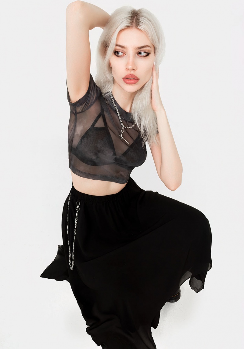 Disturbia Tempest Mesh Crop Top | AAU-79052437