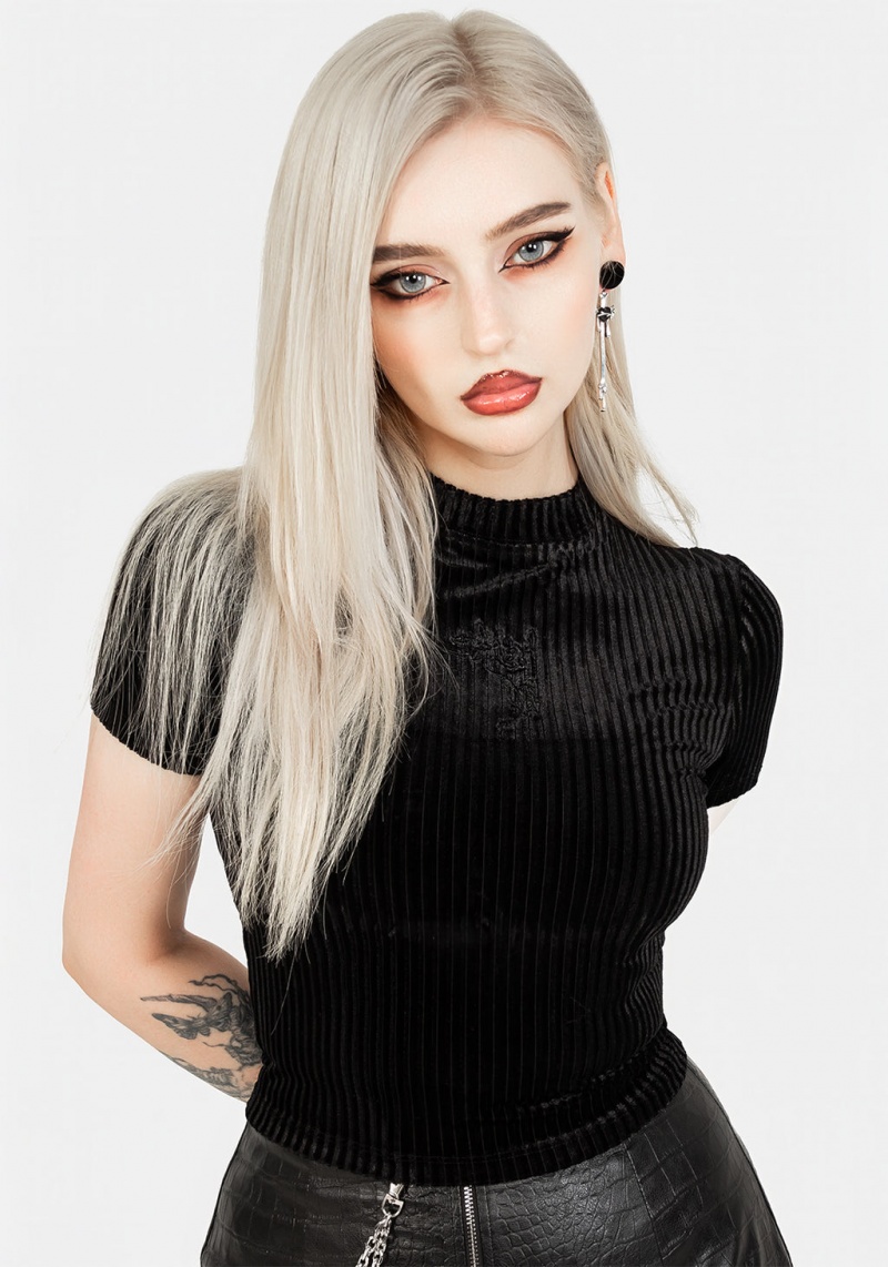 Disturbia Rosaline Velour Rib Crop Top | RMV-11177484