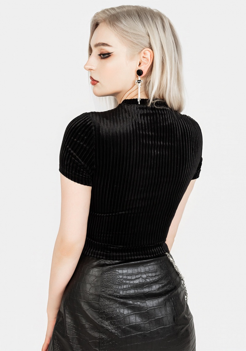 Disturbia Rosaline Velour Rib Crop Top | RMV-11177484