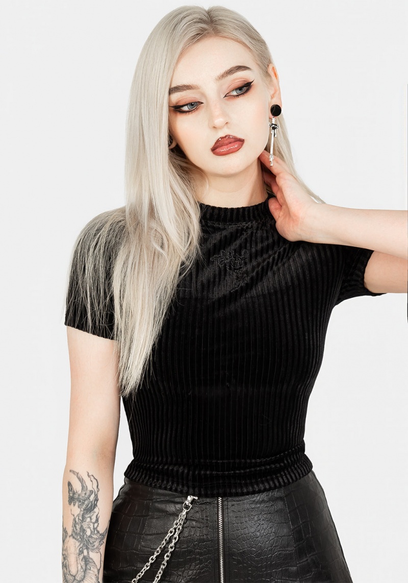 Disturbia Rosaline Velour Rib Crop Top | RMV-11177484