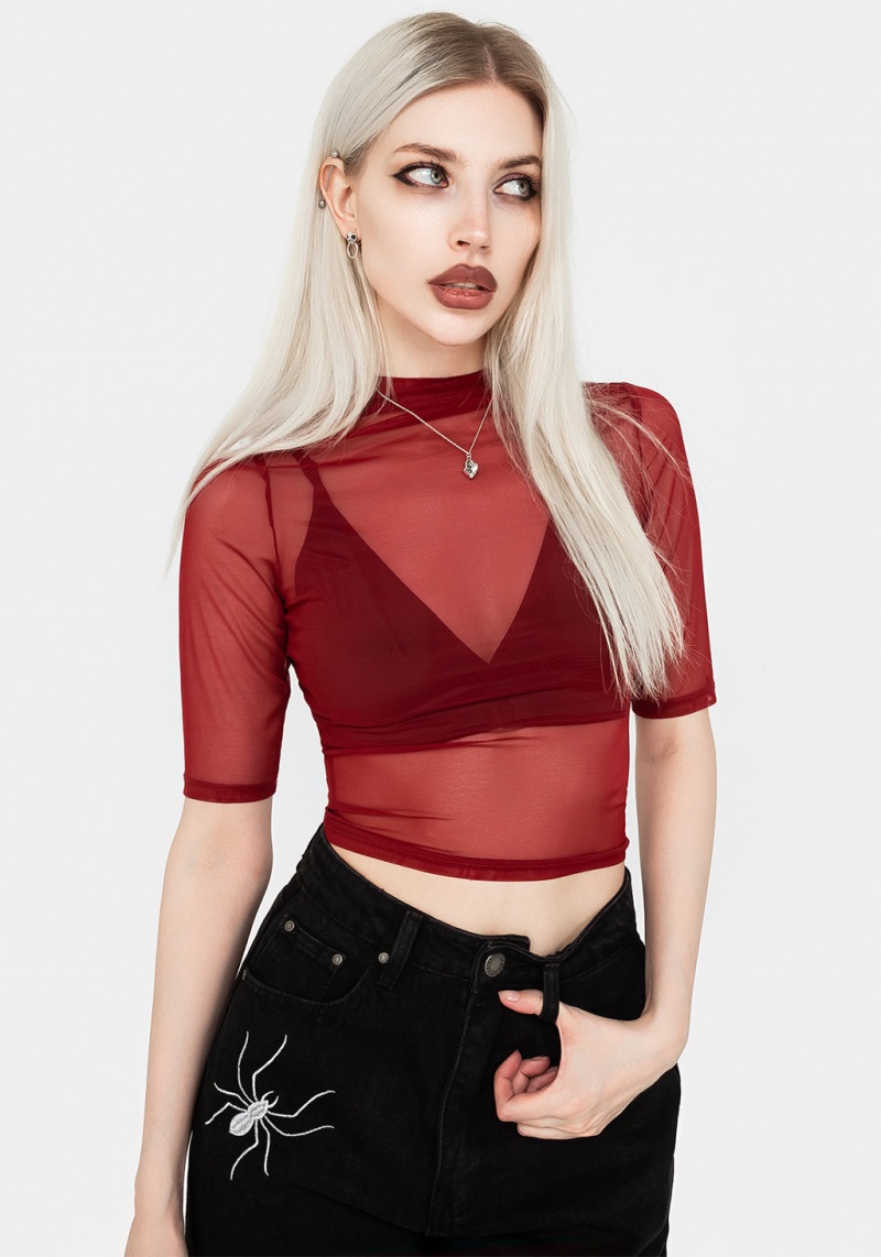 Disturbia Jinx Mesh Corta Sleeve Top - Red | WYX-82216633