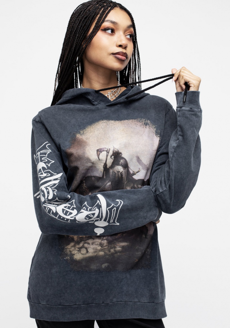 Disturbia Frazetta Death Dealer 1 Hoody | HDT-06443417