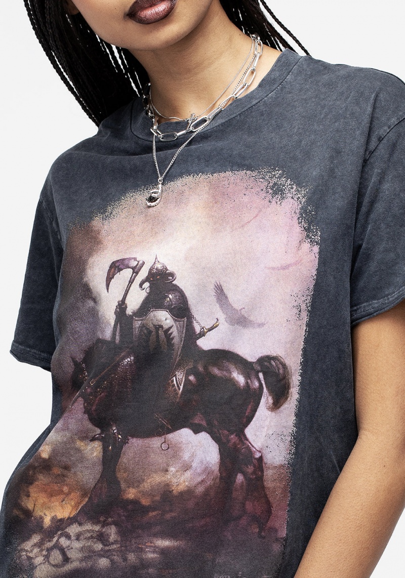 Disturbia Frazetta Death Dealer 1 Corta Sleeve T-Shirt | CUE-13362157