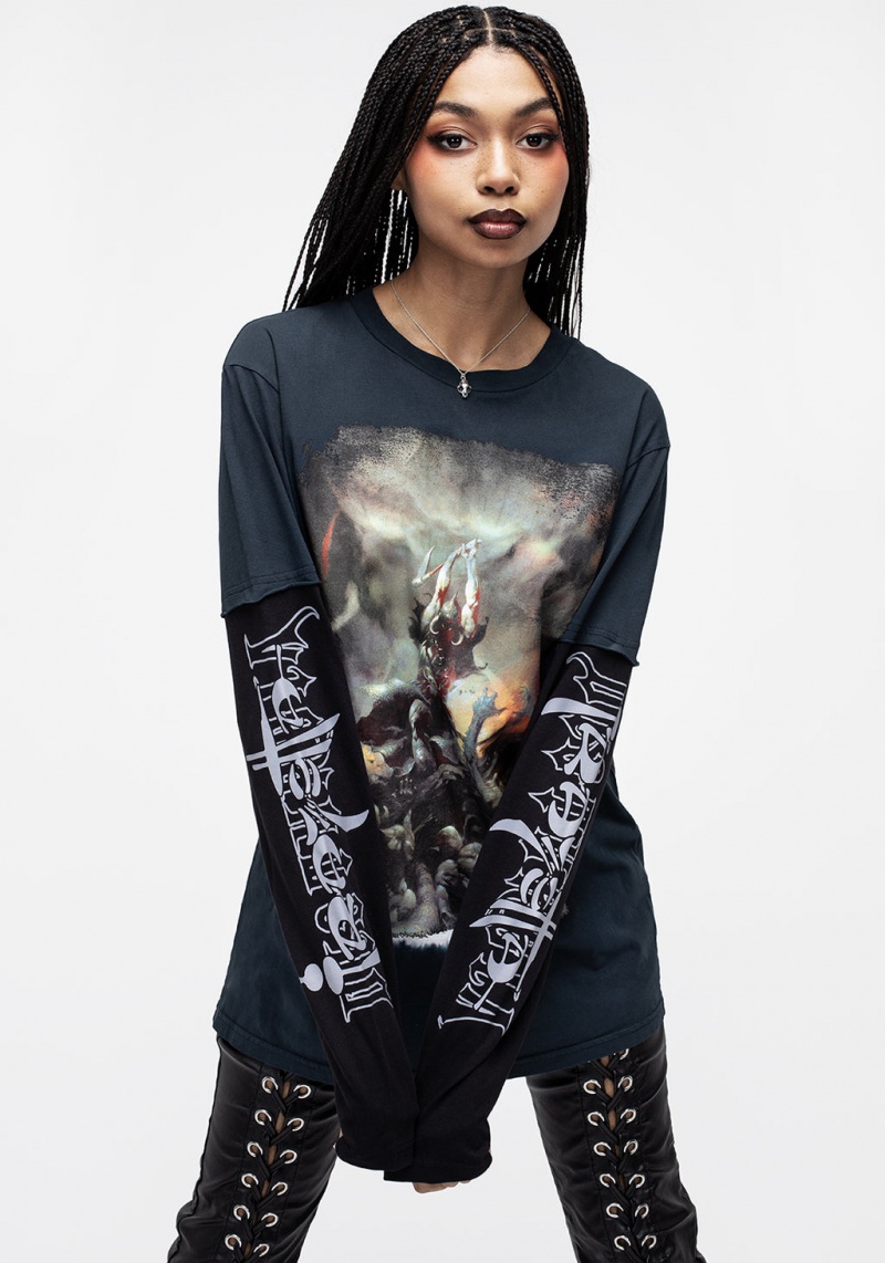 Disturbia Frazetta Death Dealer 2 Long Sleeve T-Shirt | RRK-12521758