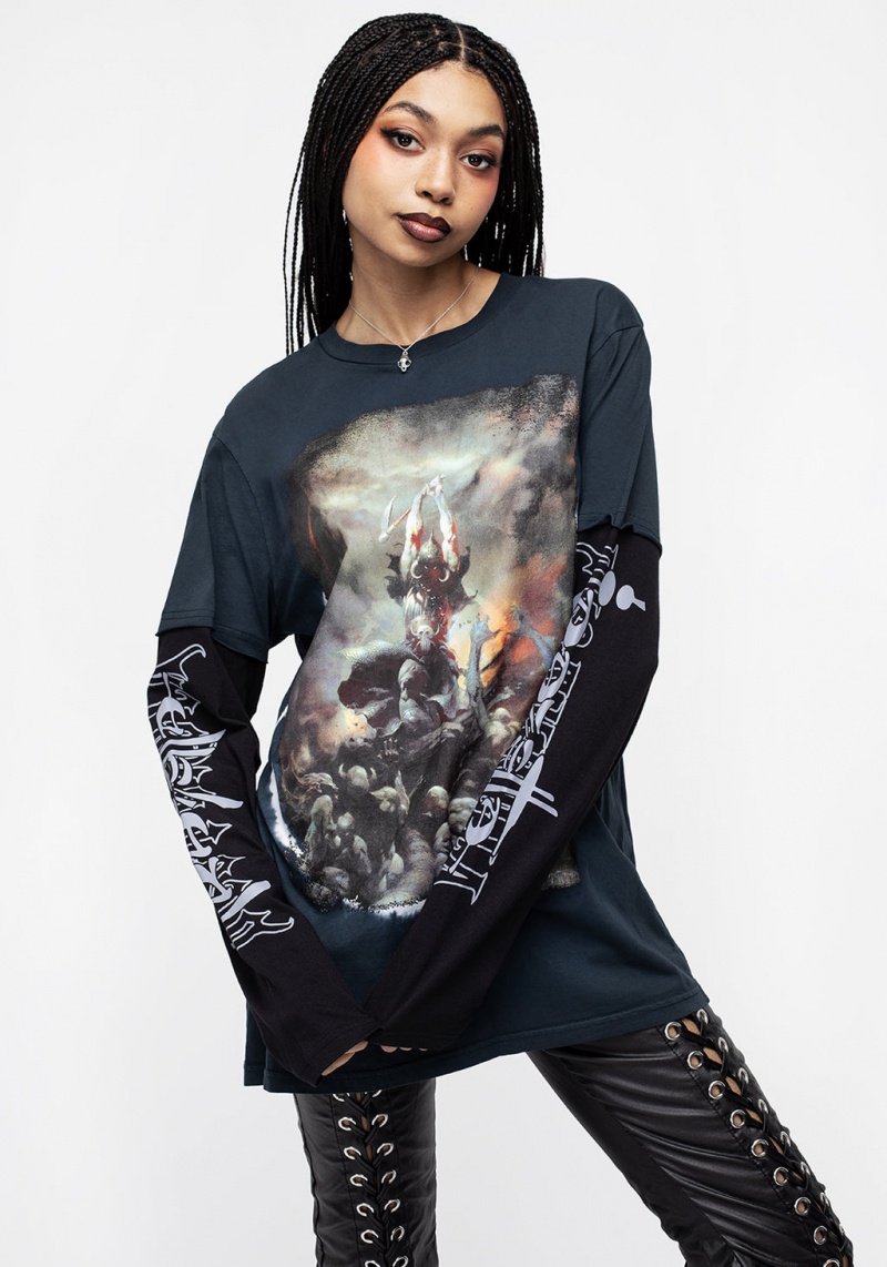 Disturbia Frazetta Death Dealer 2 Long Sleeve T-Shirt | RRK-12521758