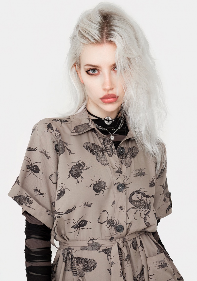 Disturbia Parasite Bugs Print Mini Corta Sleeve Shirt Robe - Taupe | OCA-29988505