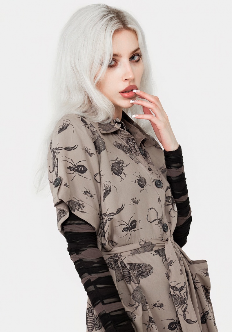 Disturbia Parasite Bugs Print Mini Corta Sleeve Shirt Robe - Taupe | OCA-29988505