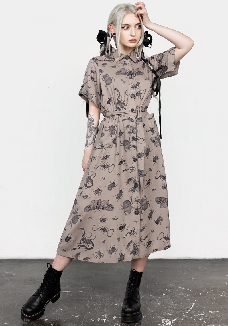 Disturbia Parasite Bugs Print Midi Corta Sleeve Shirt Robe - Taupe | FXX-33913566