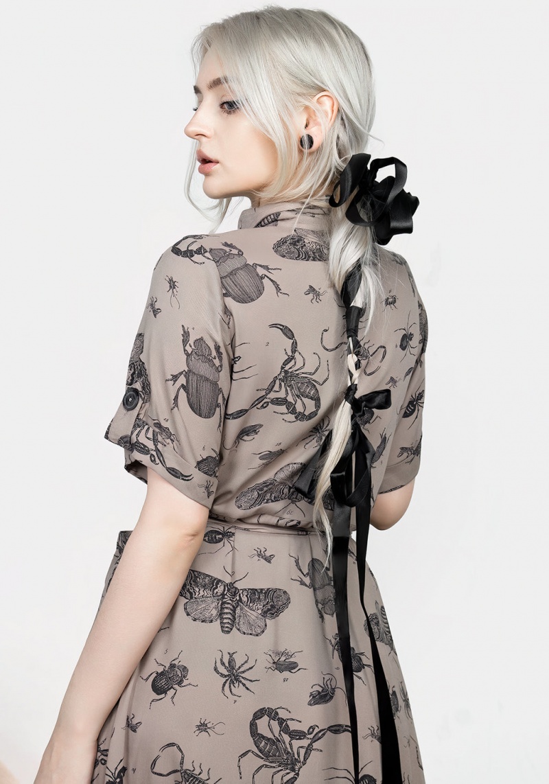 Disturbia Parasite Bugs Print Midi Corta Sleeve Shirt Robe - Taupe | FXX-33913566