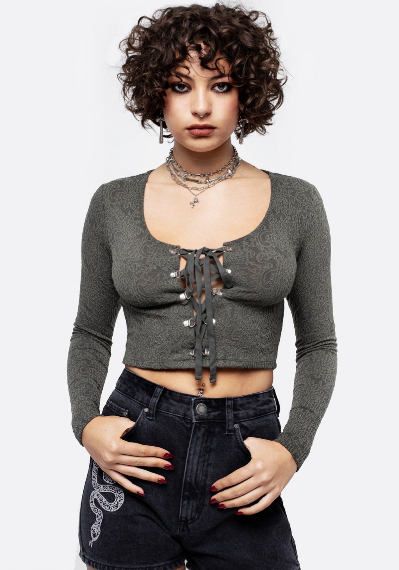 Disturbia Laurel Dentelle Up Long Sleeve Crop Top | WGG-46149196