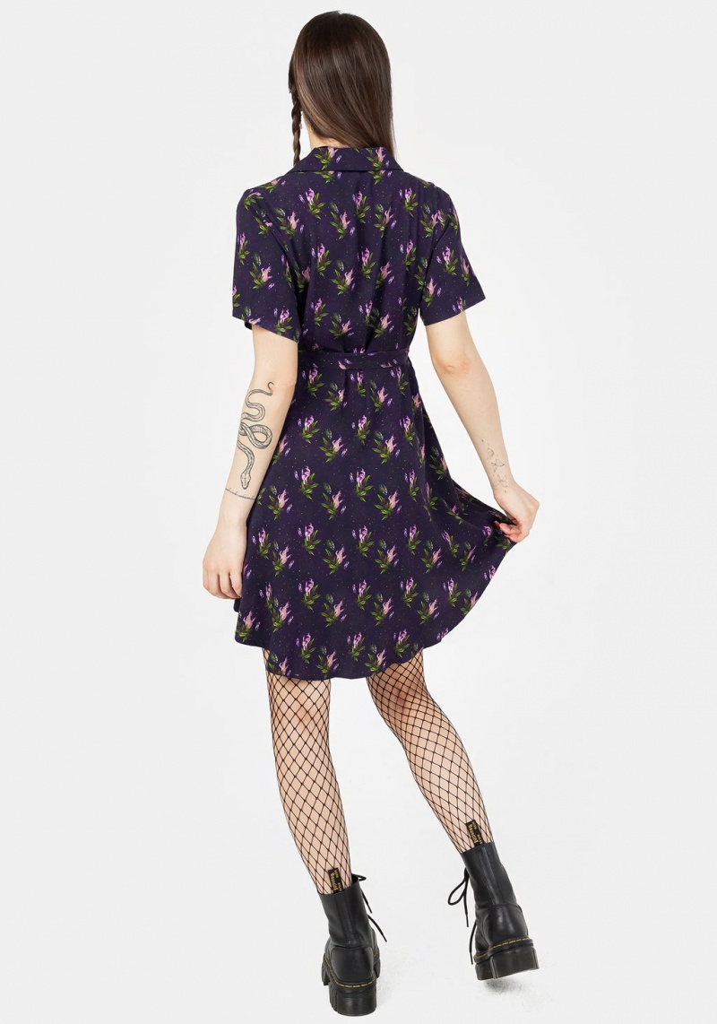 Disturbia Petra Mini Shirt Robe | ANF-65601470