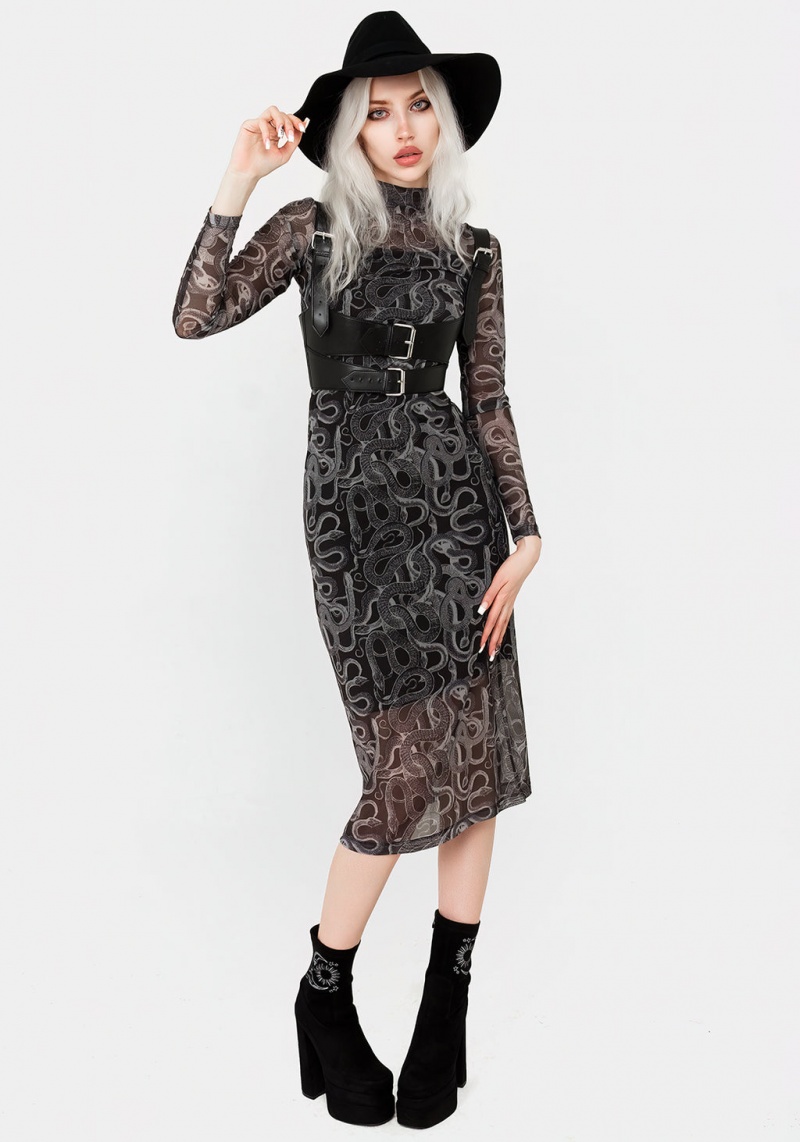 Disturbia Serpente Print Mesh Bodycon Midi Robe | HWA-87085092