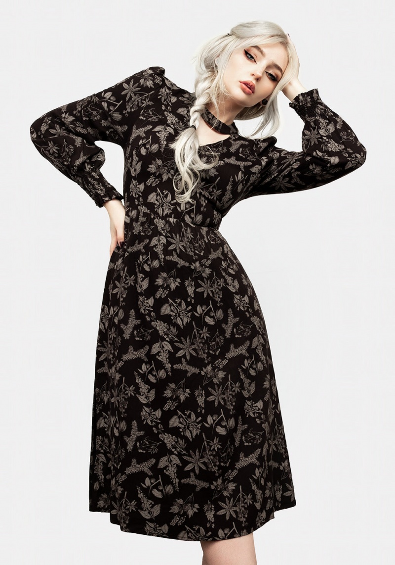 Disturbia Poisonous Plant Puff Sleeve Midi Robe | ALE-96011102