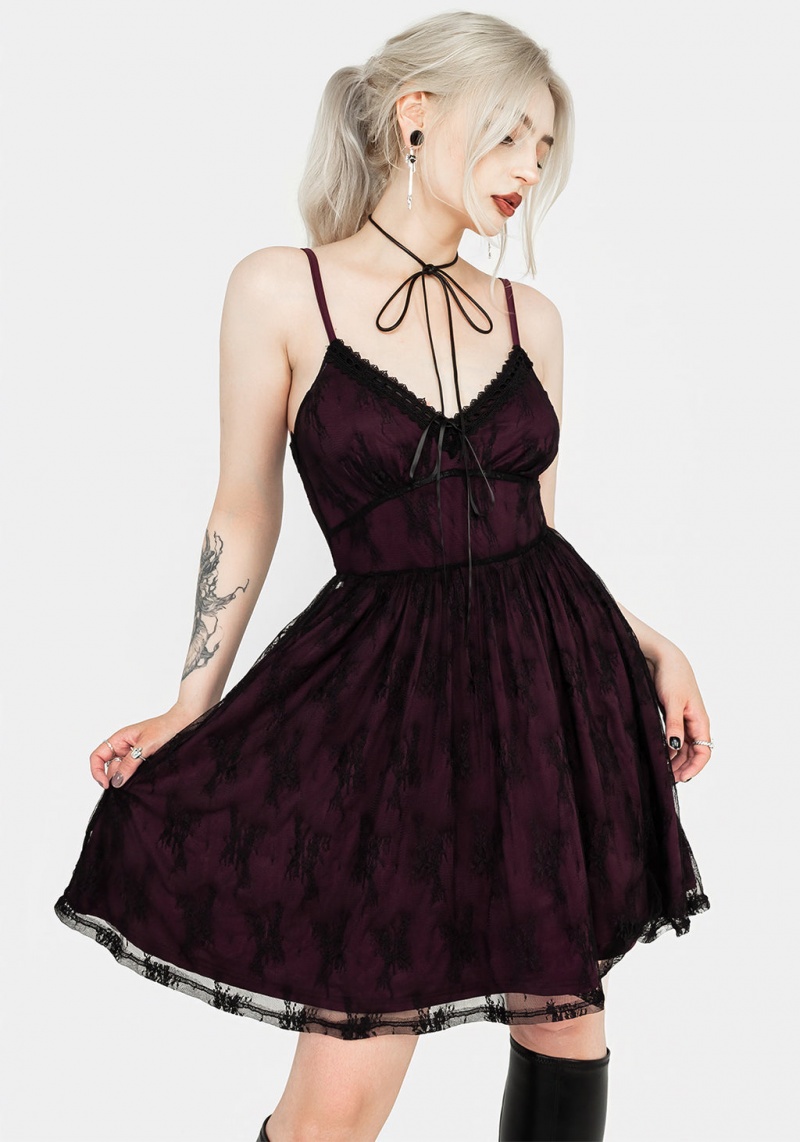 Disturbia Anastasie Stretch Dentelle Mini Robe | KOV-72916997