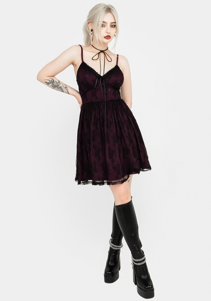 Disturbia Anastasie Stretch Dentelle Mini Robe | KOV-72916997