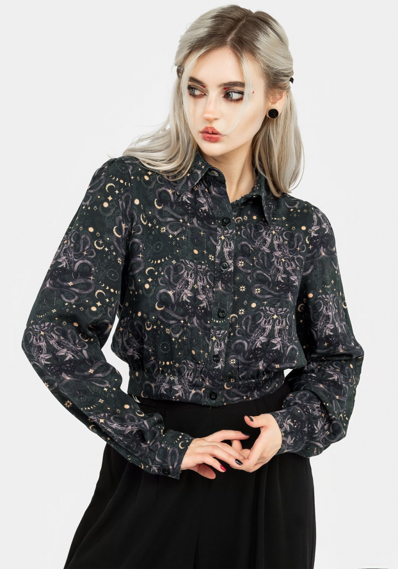 Disturbia Cailleach Button Up Crop Shirt | MEH-60769832